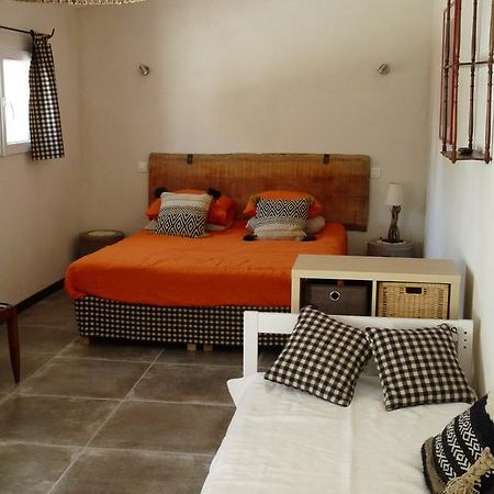 לינה וארוחת בוקר אלברון Bergerie D'Alivon En Camargue מראה חיצוני תמונה