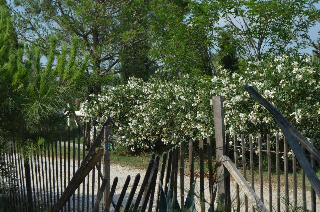 לינה וארוחת בוקר אלברון Bergerie D'Alivon En Camargue מראה חיצוני תמונה