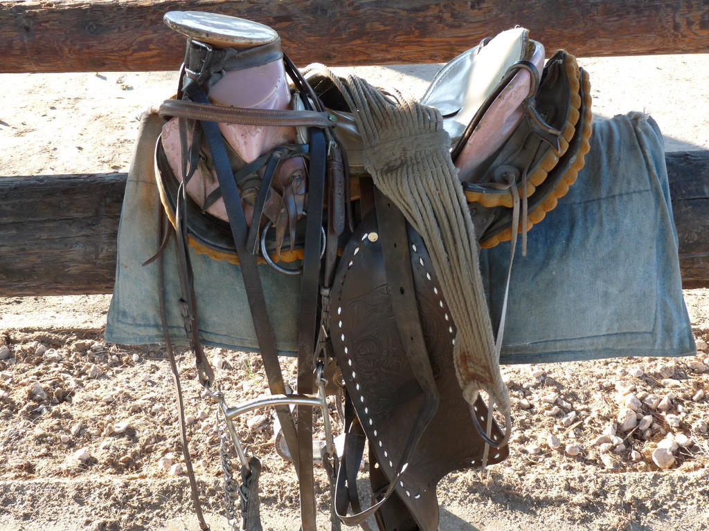 לינה וארוחת בוקר אלברון Bergerie D'Alivon En Camargue מראה חיצוני תמונה