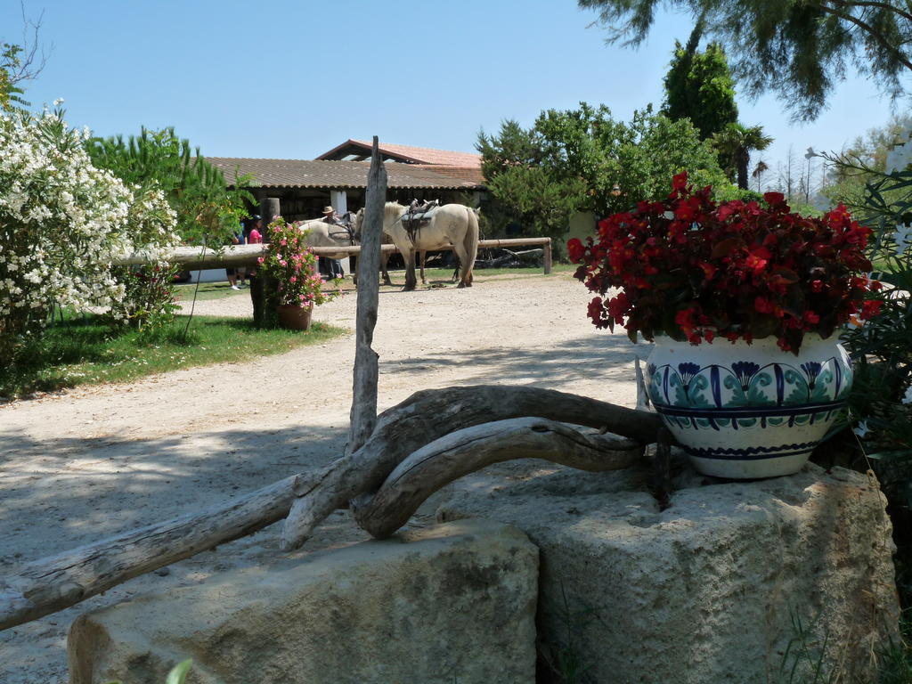 לינה וארוחת בוקר אלברון Bergerie D'Alivon En Camargue מראה חיצוני תמונה