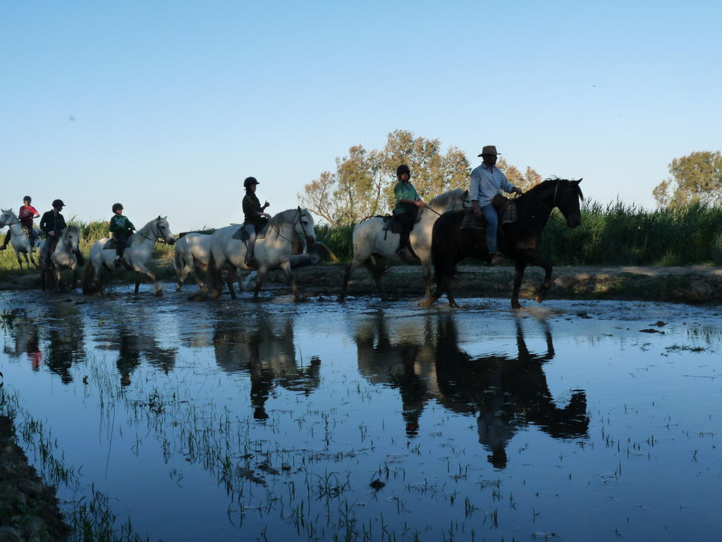 לינה וארוחת בוקר אלברון Bergerie D'Alivon En Camargue מראה חיצוני תמונה