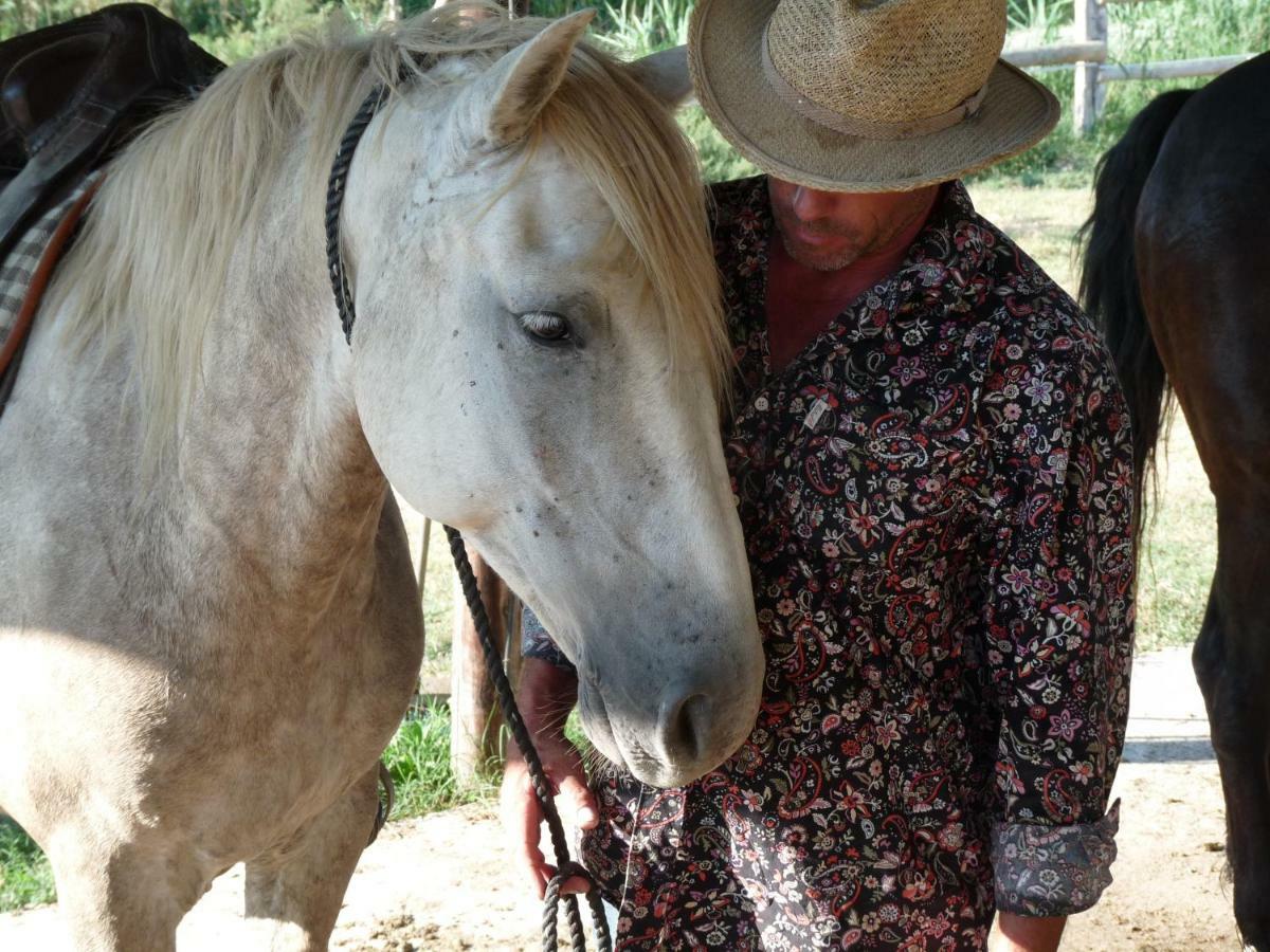 לינה וארוחת בוקר אלברון Bergerie D'Alivon En Camargue מראה חיצוני תמונה